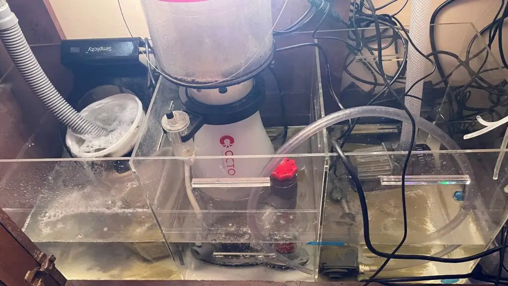 Fish tank setup