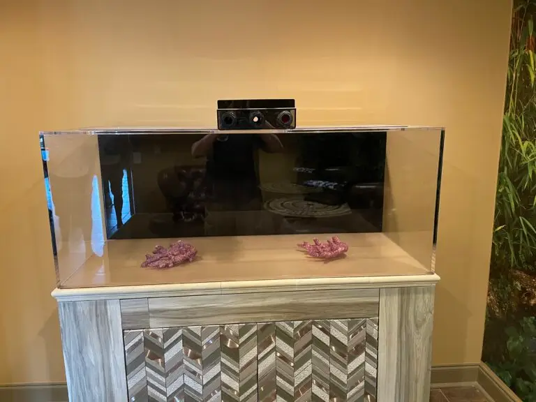 Aquarium Installation