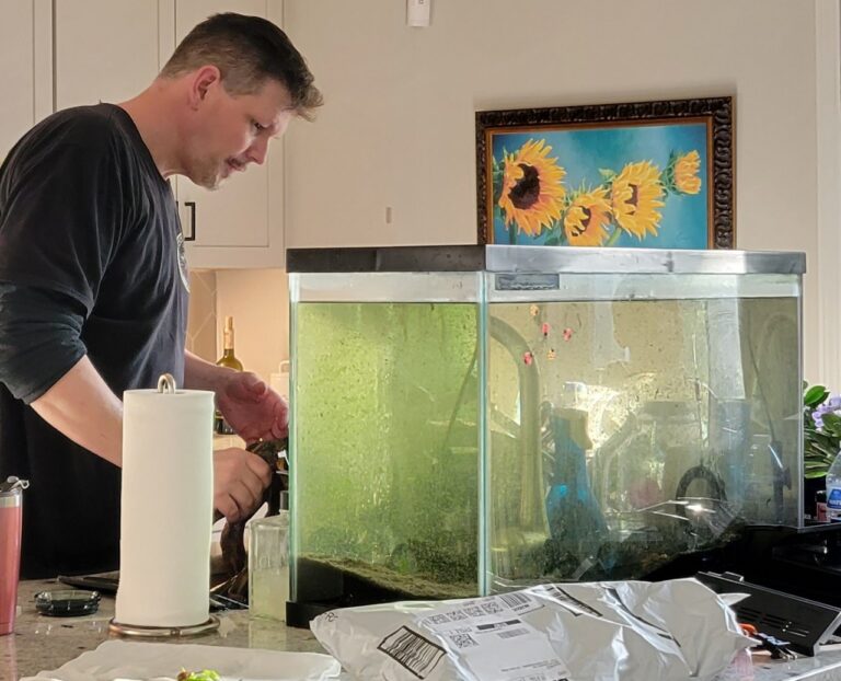 PROFESSIONAL AQUARIUM SERVICES