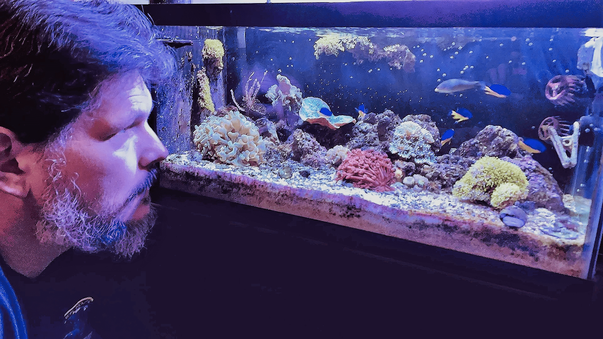 Professional Aquarium Service 