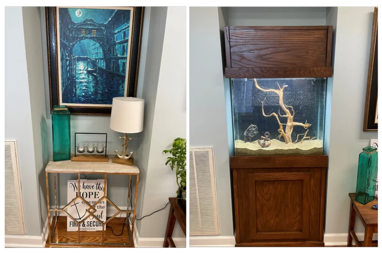 custom aquarium design
