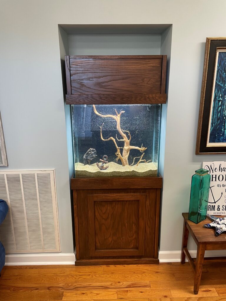 custom aquarium