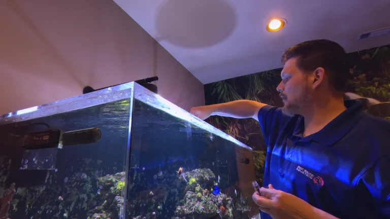 Aquarium Water Quality Testing