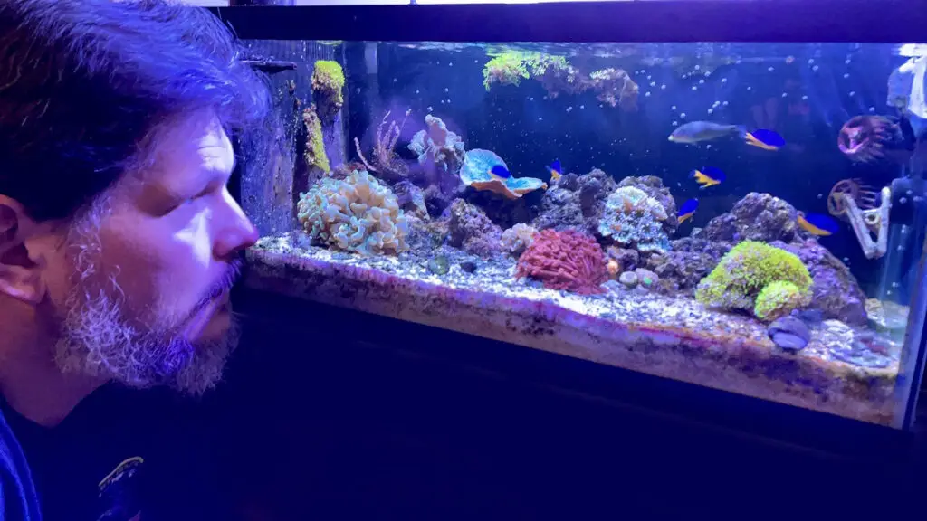 Fish Tank Designers