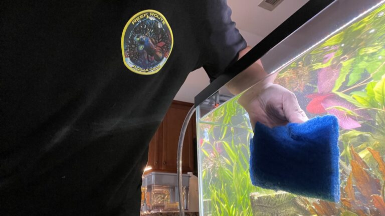 aquarium cleaning service