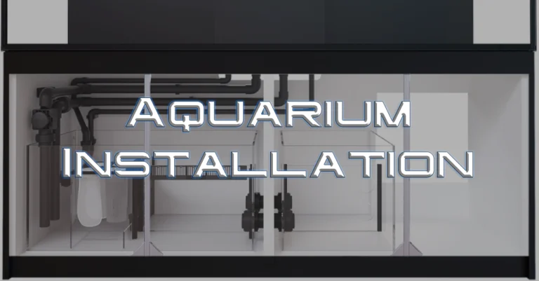 Aquarium Installation