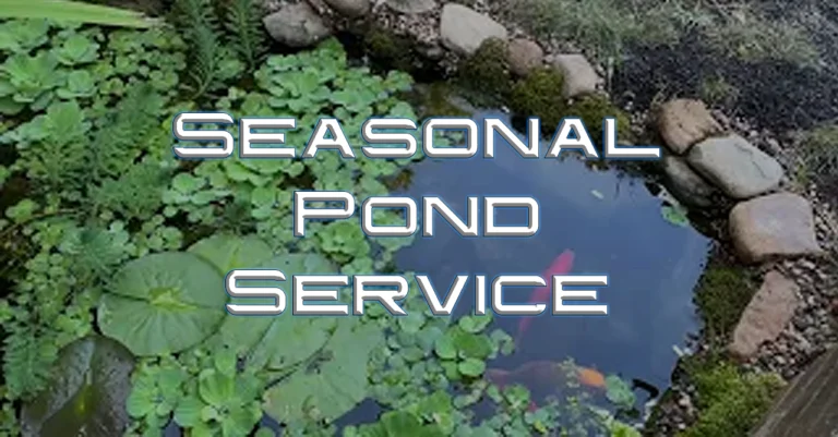 Pond Service
