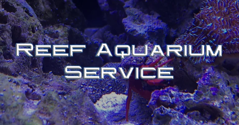 Reef Aquarium Service