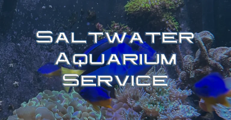 Saltwater Aquarium Service
