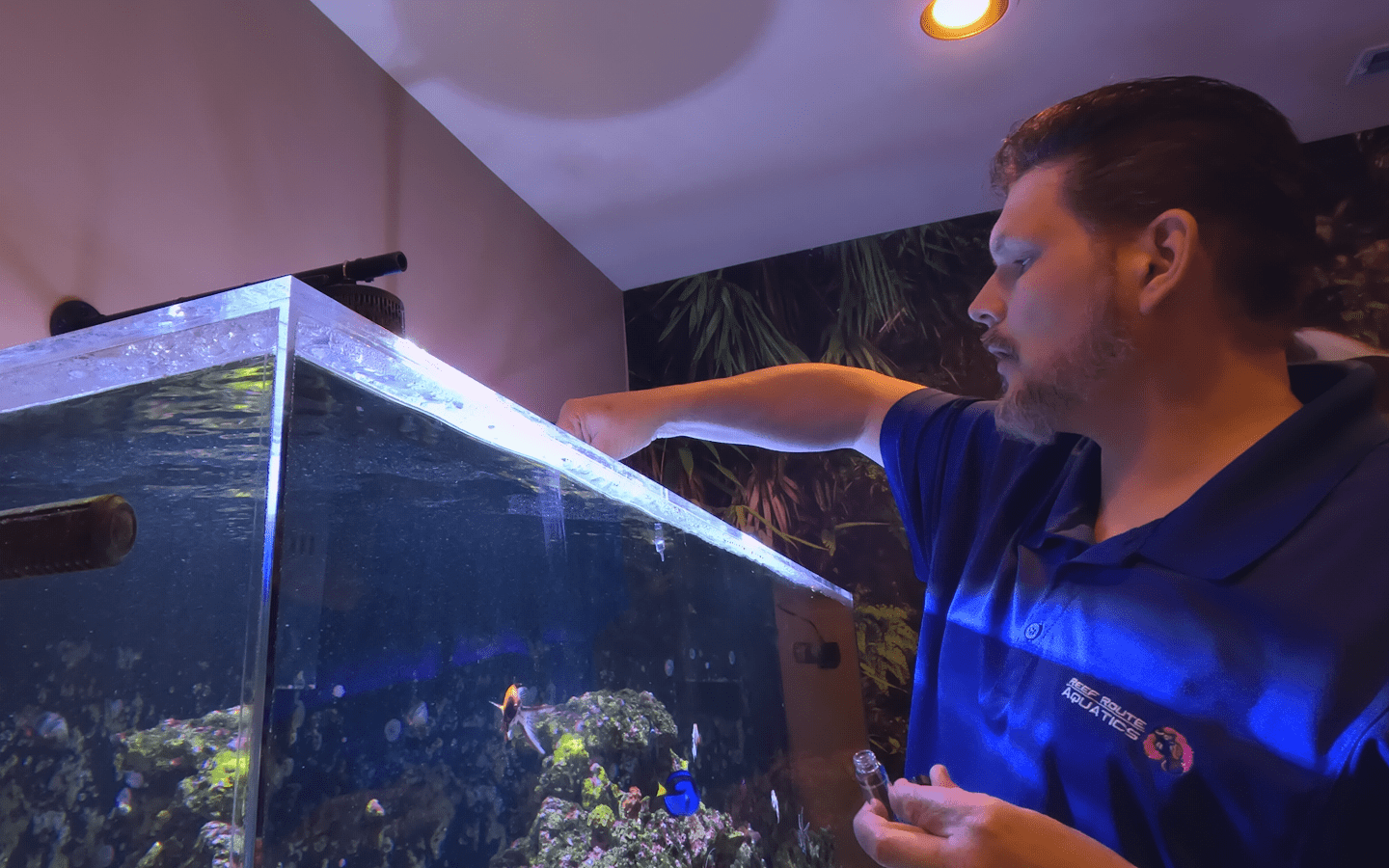 bi-weekly aquarium service
