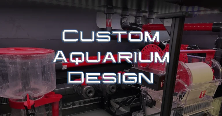 custom aquarium design