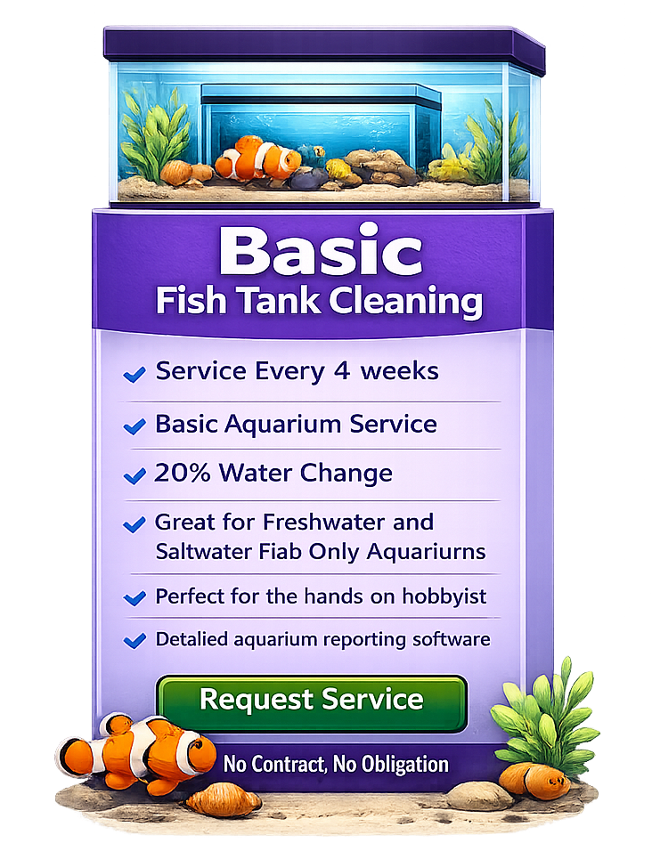 Basic Fish Tank Cleaning