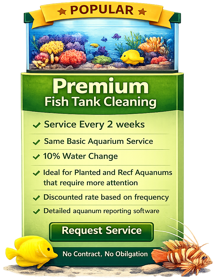 Premium fish tank cleaning