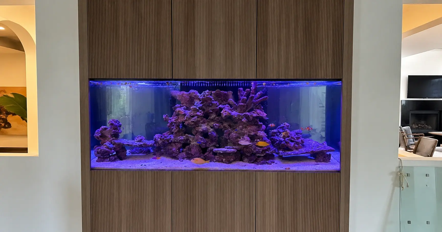 Aquarium Installation
