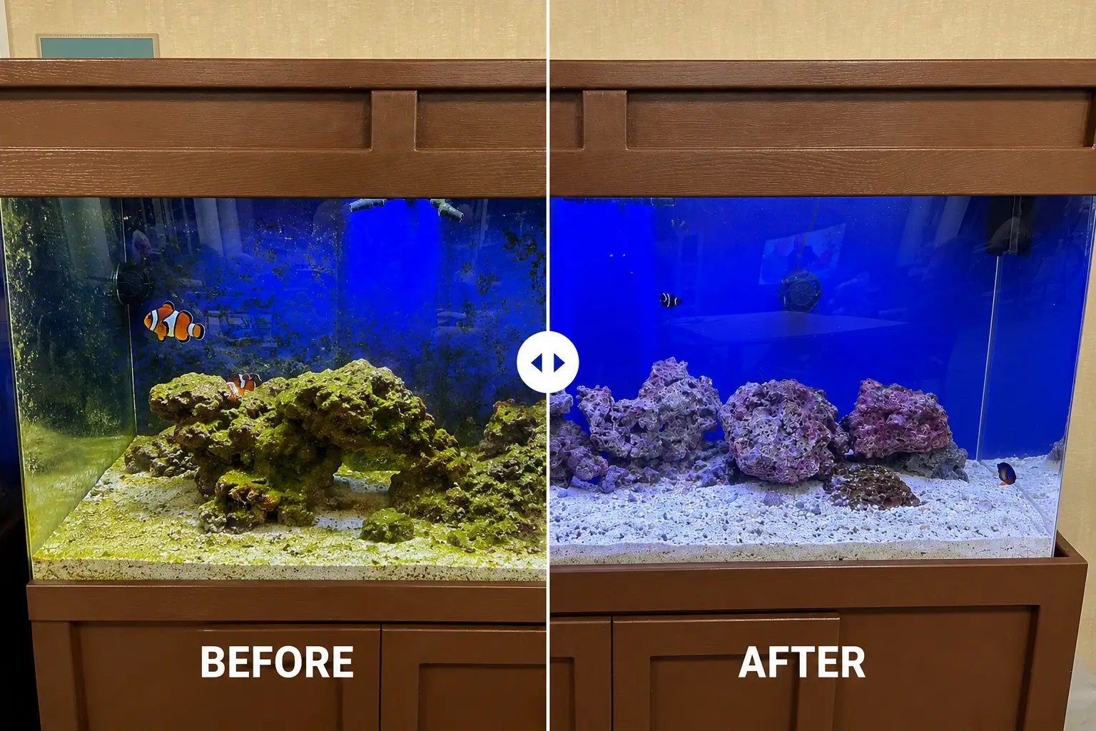 Before and After FOWLR