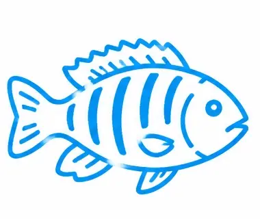 Cichlid Aquarium Service
