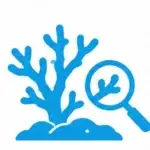 Coral Health Assessments
