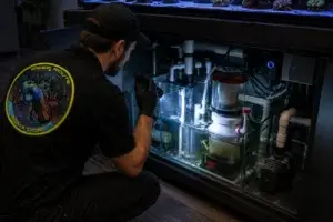 Professional aquarium service