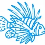 FOWLR Aquarium Service