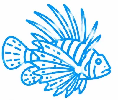 FOWLR Aquarium Service