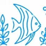 Freshwater Aquarium Service