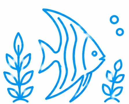 Freshwater Aquarium Service