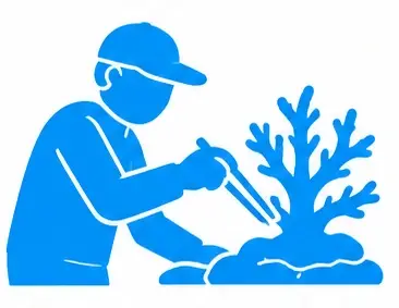 Reef Maintenance