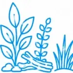 Planted Aquarium Service