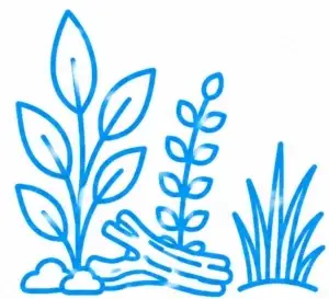 Planted Aquarium Service
