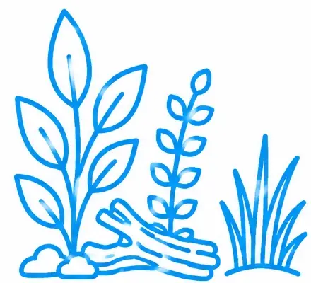 Planted Aquarium Service