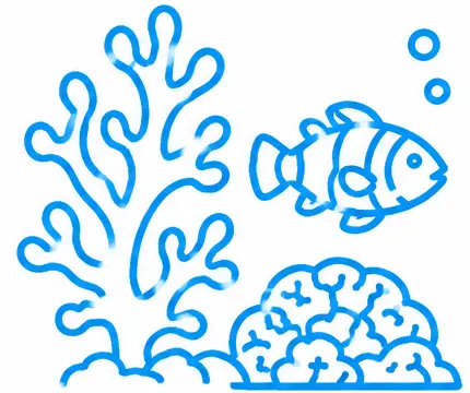 Reef Aquarium Service