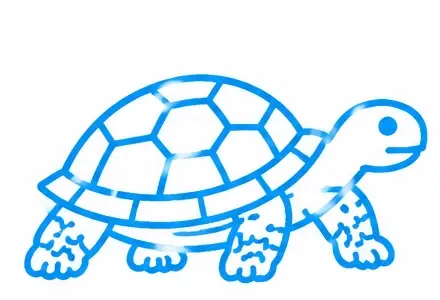 Turtle Tank Service