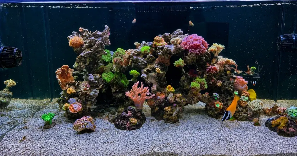 Aquarium Water Testing