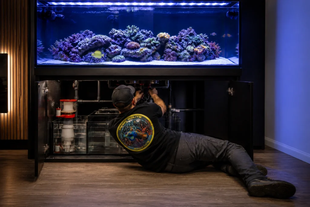 Reef Tank Maintenance
