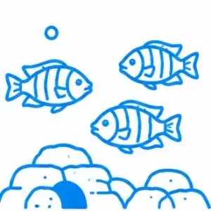 African Cichlid Aquariums
