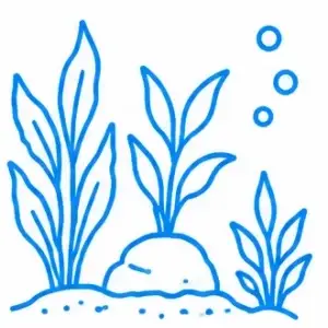 Planted Aquarium
