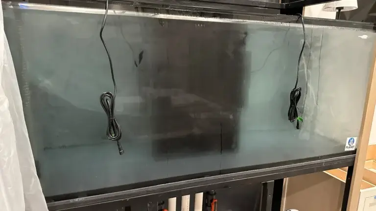 Reef Aquarium Install