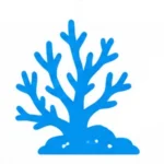 Reef Specialists