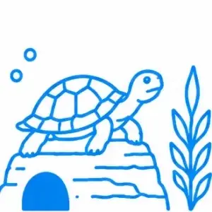 Turtle Aquariums