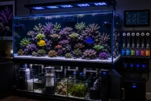 Reef Aquarium Service