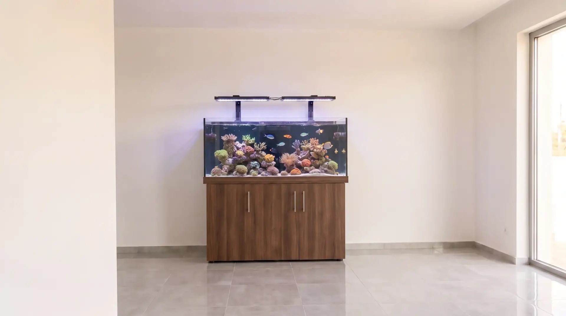 Completed custom aquarium installation in Lebanon Tennessee